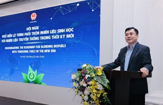 Vietnam needs to accelerate adoption of biofuel amid global energy supply uncertainty